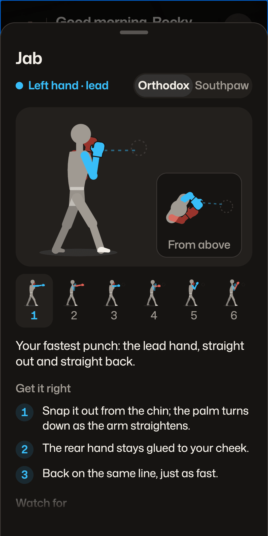 JabMate: The punch guide